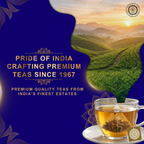 Blue Sapphire Butterfly Pea Bliss Tea – Color-Changing Herbal Tea