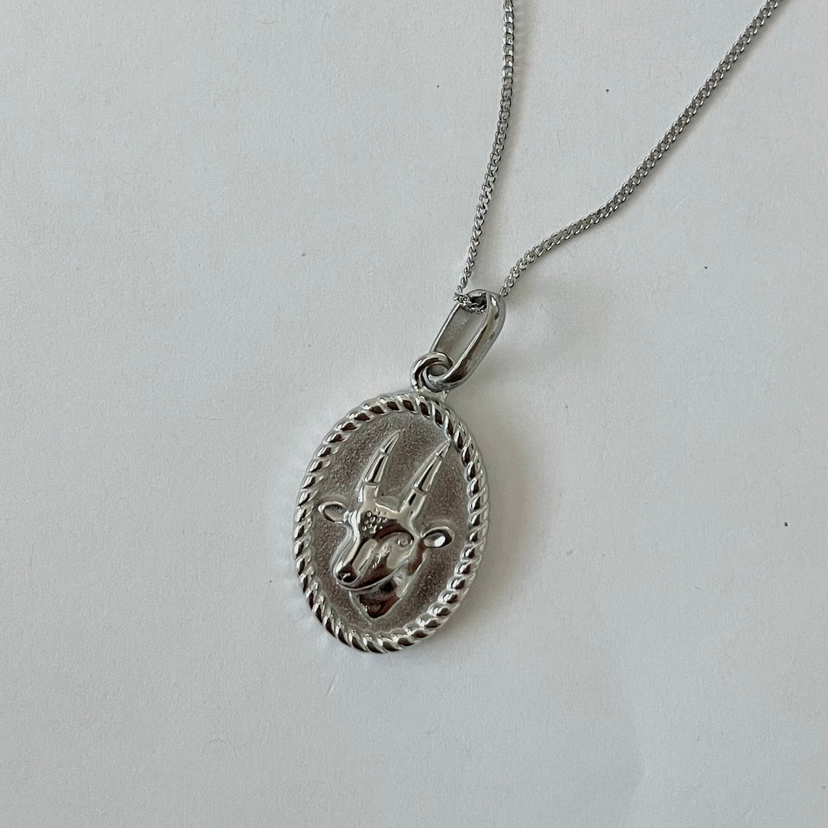 Zodiac Necklace – Silver | Personalized Star Sign Jewelry
